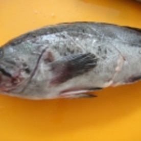 白髪ネギと一緒に 黒ソイの煮付け レシピ 作り方 By Mint74 楽天レシピ 白髪ネギと一緒に 黒ソイの煮付け レシピ 作り方 By Mint74 楽天レシピ